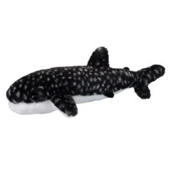 Barnacle Whale Shark