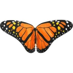 Orange Monarch Wings