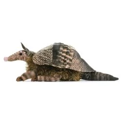 Folkmanis Armadillo Puppet -Time Less Toy folkmanis hand puppets default armadillo puppet 42266325156082