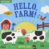 INDESTRUCTIBLES: Hello, Farm! -Time Less Toy indestructibles indestructible books indestructibles hello farm 41357038944498