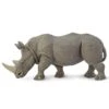 270229 White Rhino