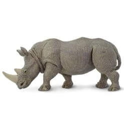 270229 White Rhino