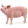 Schleich 13933 Pig