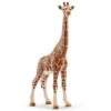 Schleich 14750 Giraffe Female 1 Schleich 14750 Giraffe Female -Time Less Toy schleich miniature wildlife 14750 giraffe female 41881229263090