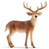 Schleich 14818 White-tailed Buck 1 Schleich 14818 White-tailed Buck -Time Less Toy schleich miniature wildlife 14818 white tailed buck 41425063280882