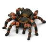 Schleich 14829 Tarantula 2 Schleich 14829 Tarantula -Time Less Toy schleich miniature wildlife 14829 tarantula 41869867876594